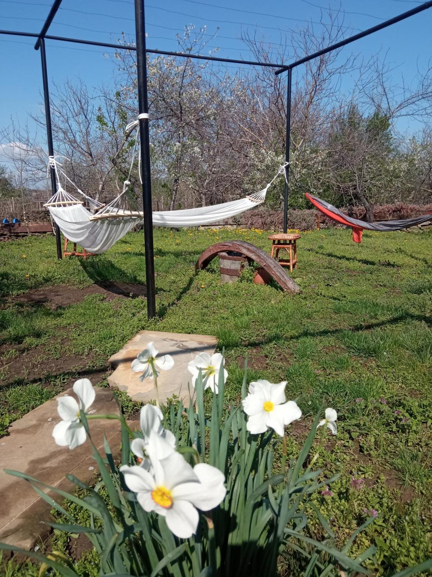 Guest House Art Eco Land Ganchovets 外观 照片