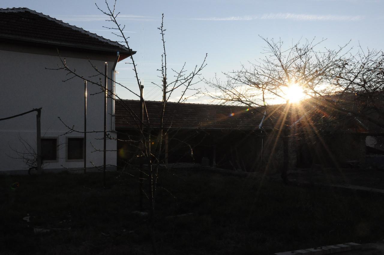 Guest House Art Eco Land Ganchovets 外观 照片